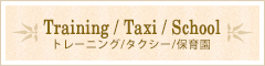 トレーニング/タクシー